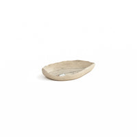 Leaf Anatomy Small Dish 1
