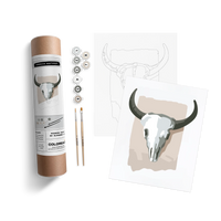 AMERICAN SOUTHWEST KIT