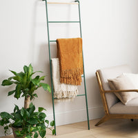 Leaning Storage Ladder (63" H) - Steel