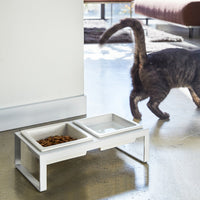 Pet Food Bowl - Tall - Steel + Ceramic