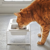 Pet Food Bowl - Tall - Steel + Ceramic
