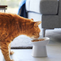 Tilted Pet Food Bowl