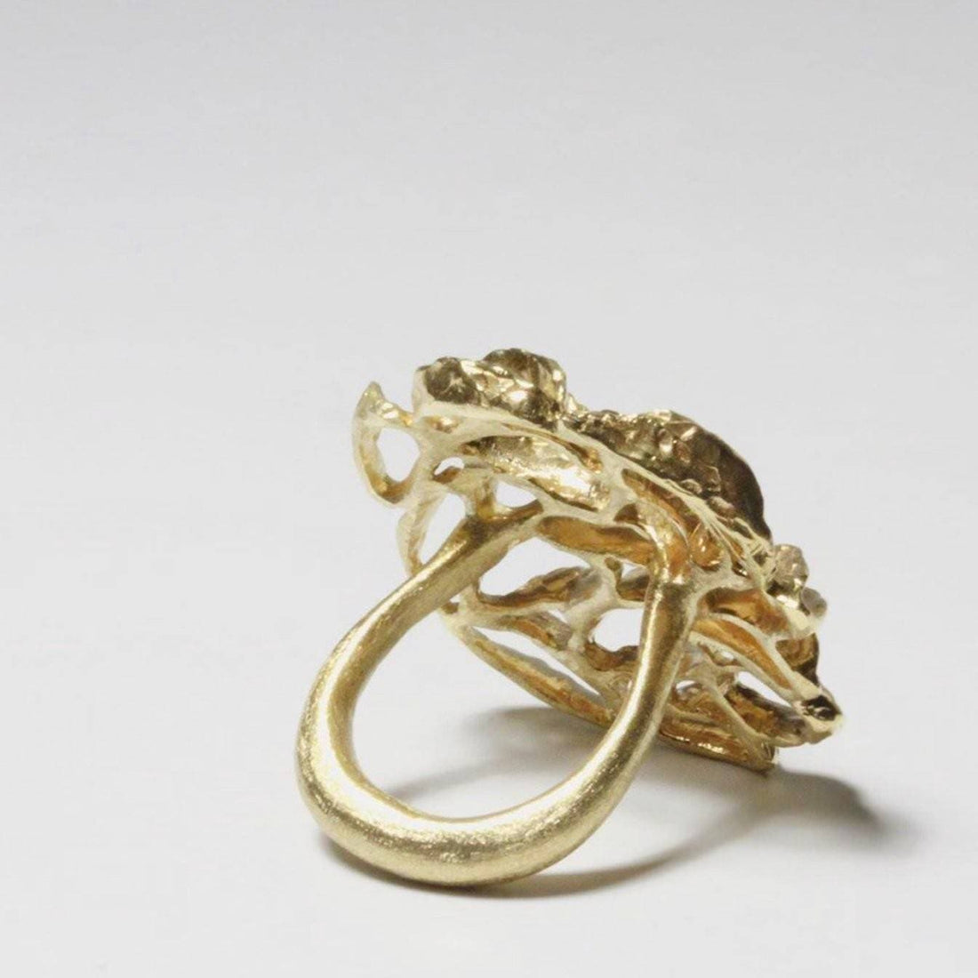 Banksia Medallion Ring - Yellow Bronze