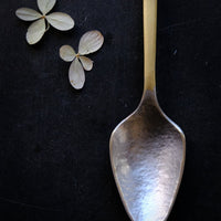 Brass and Tin Tea Spoon