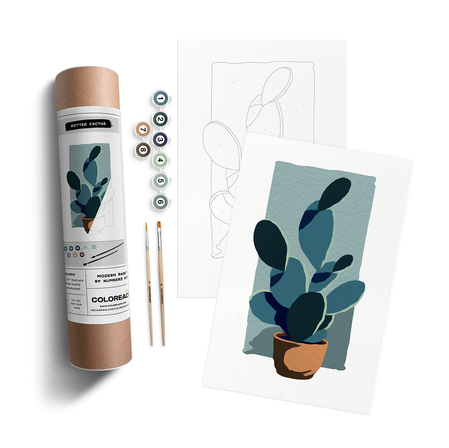 Potted Cactus Kit