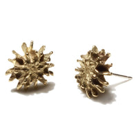 Star Pod Earrings - Yellow Bronze