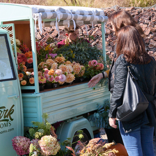 SPRING MRKT // 2025