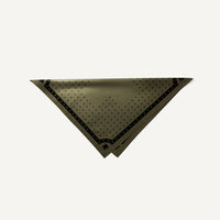 F+S Bandana