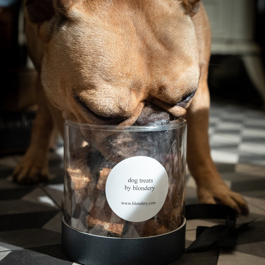 Pumpkin & Oat Dog Treats