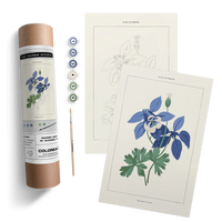 BLUE COLUMBINE BOTANICAL KIT