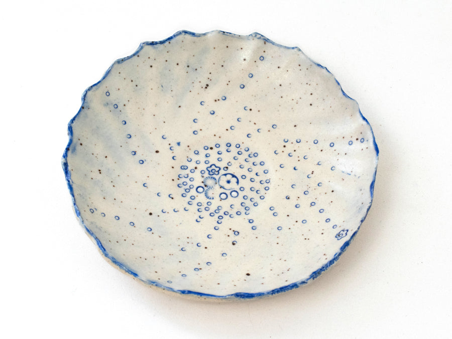 Delphine Saucer