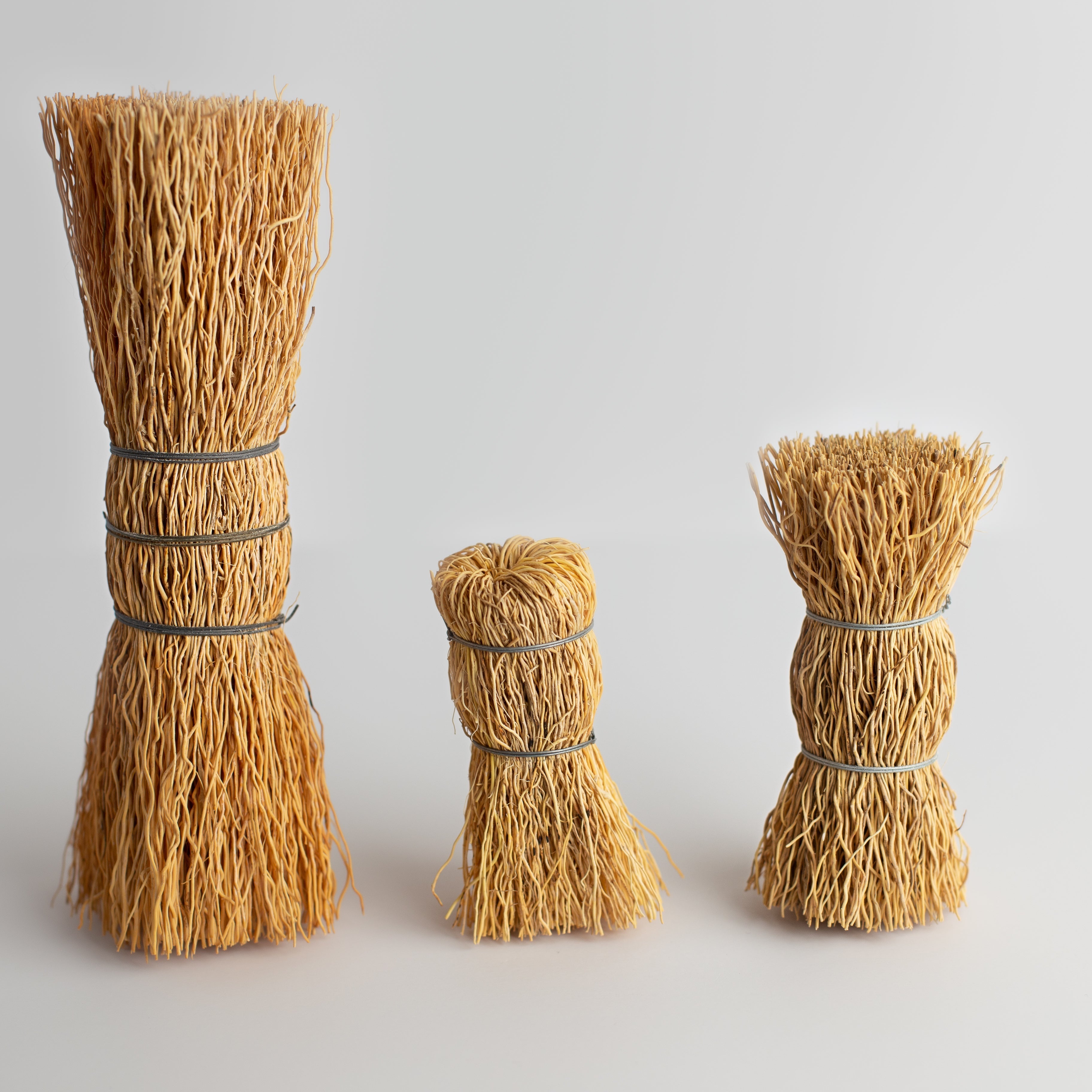 Escobeta Root Brush