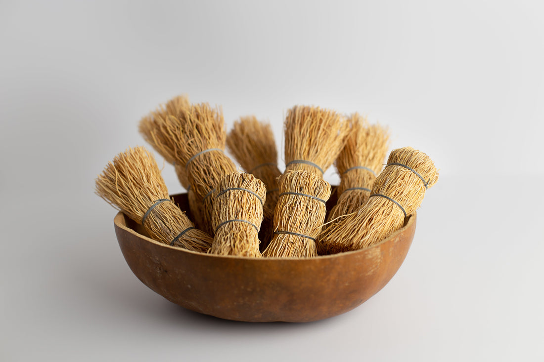 Escobeta - Root Brush