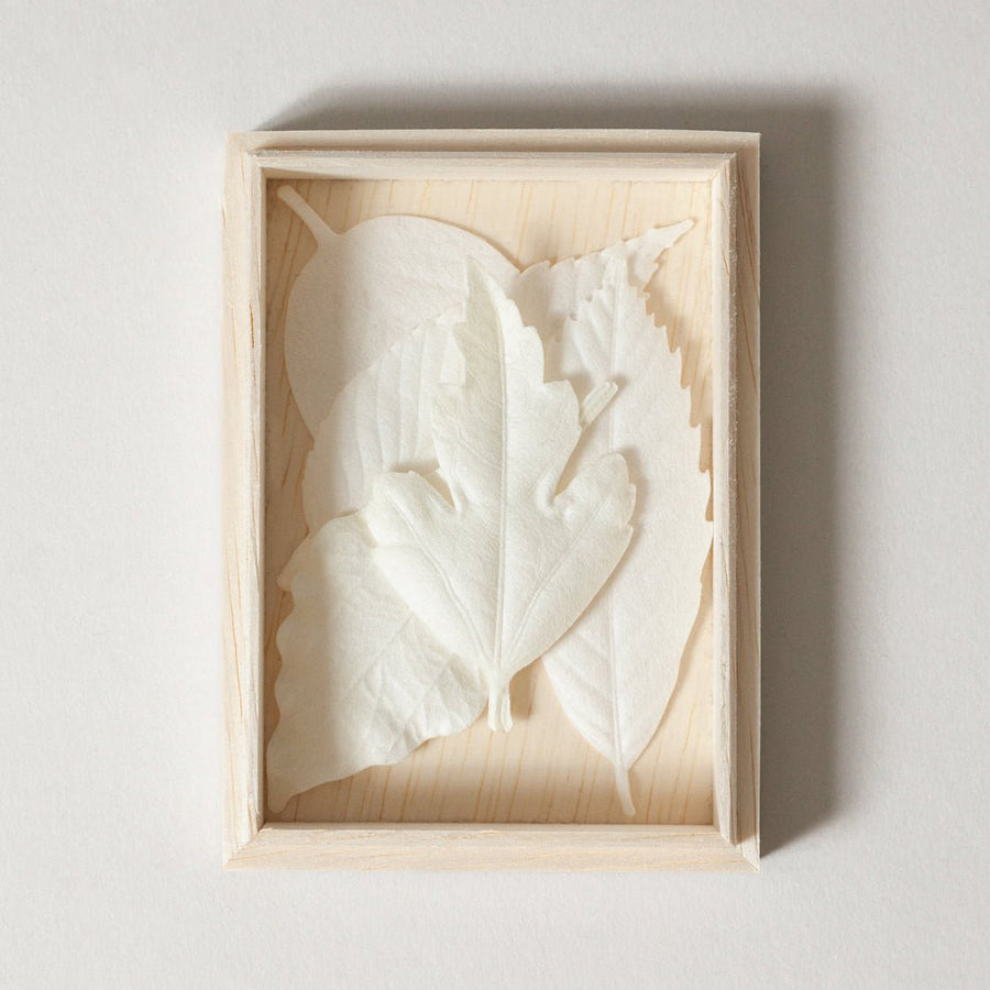 Paper Leaves Incense Box Set