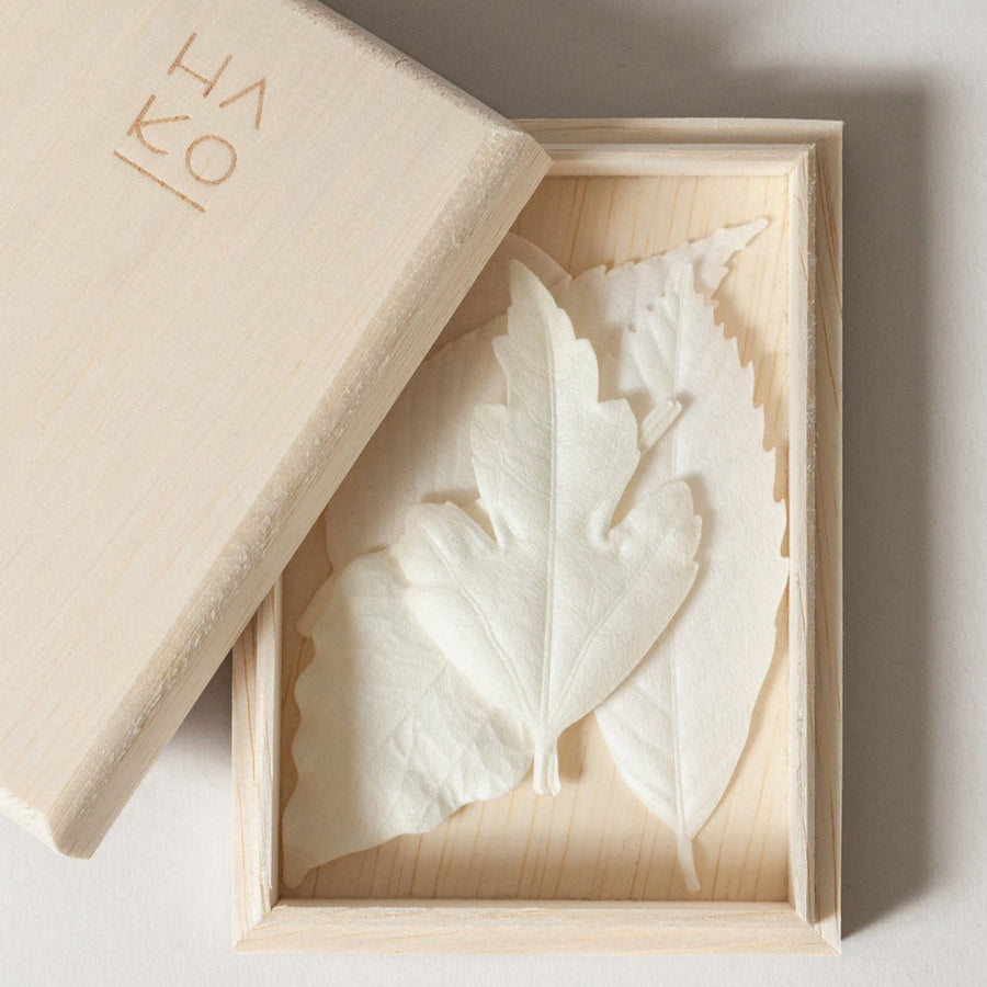 Paper Leaves Incense Box Set