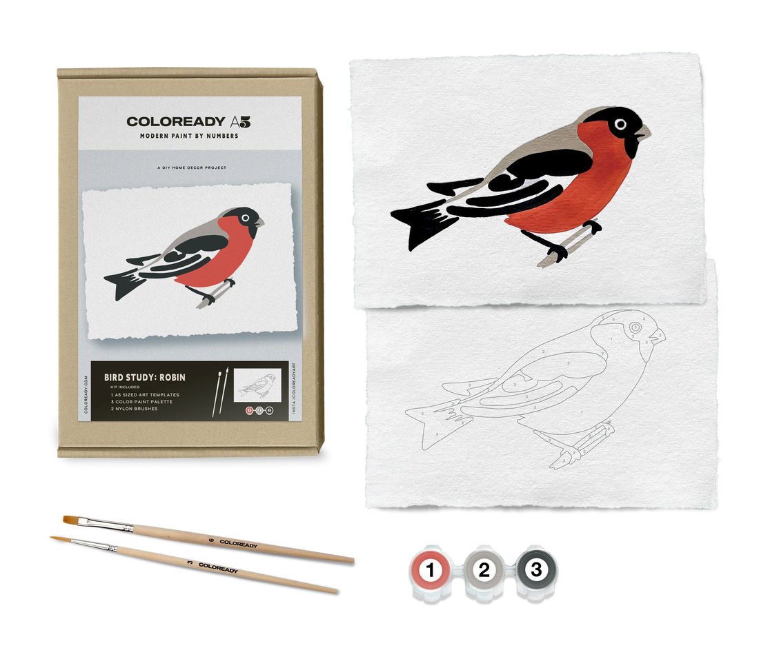 BIRD STUDY : ROBIN KIT