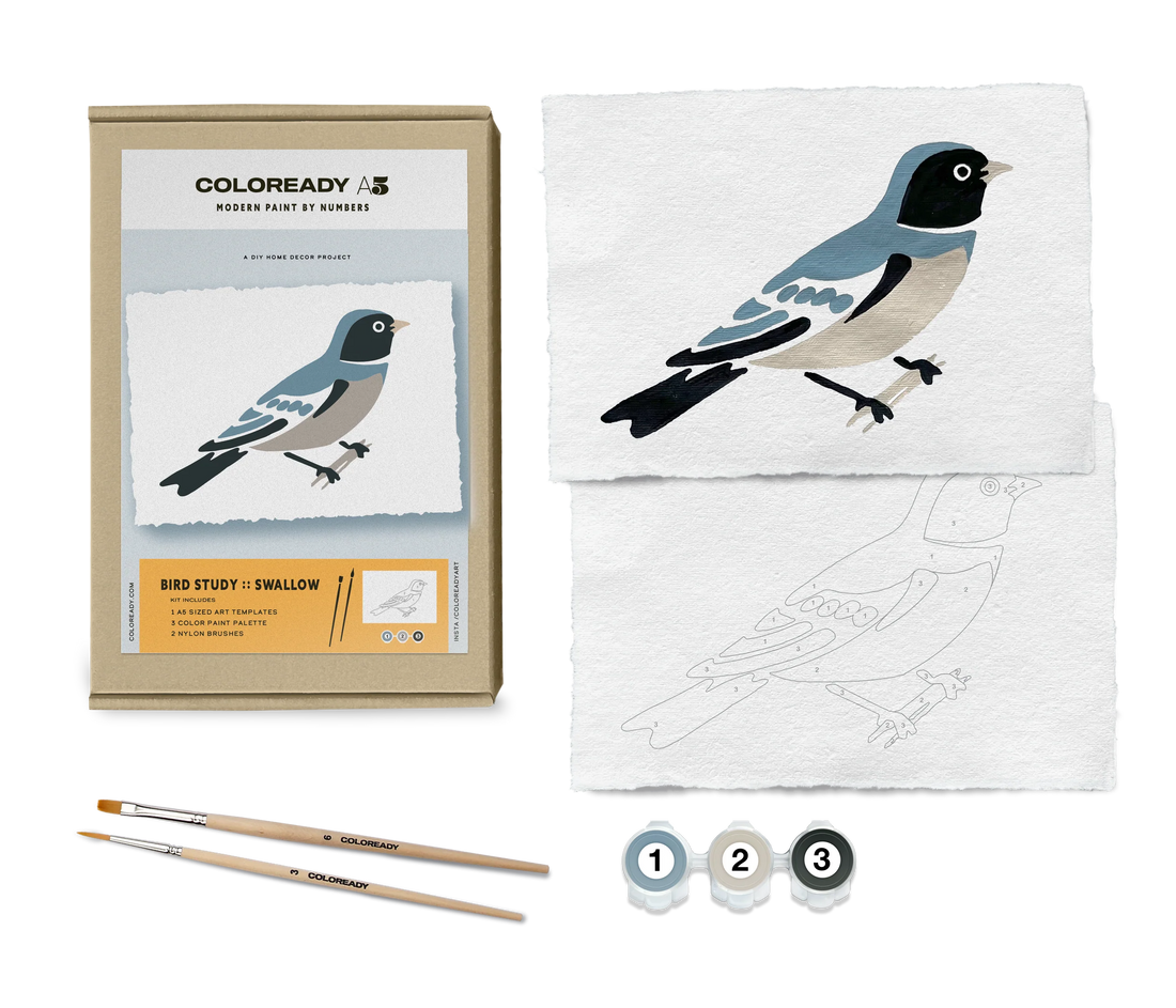 BIRD STUDY : SWALLOW