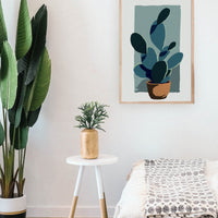 POTTED CACTUS KIT