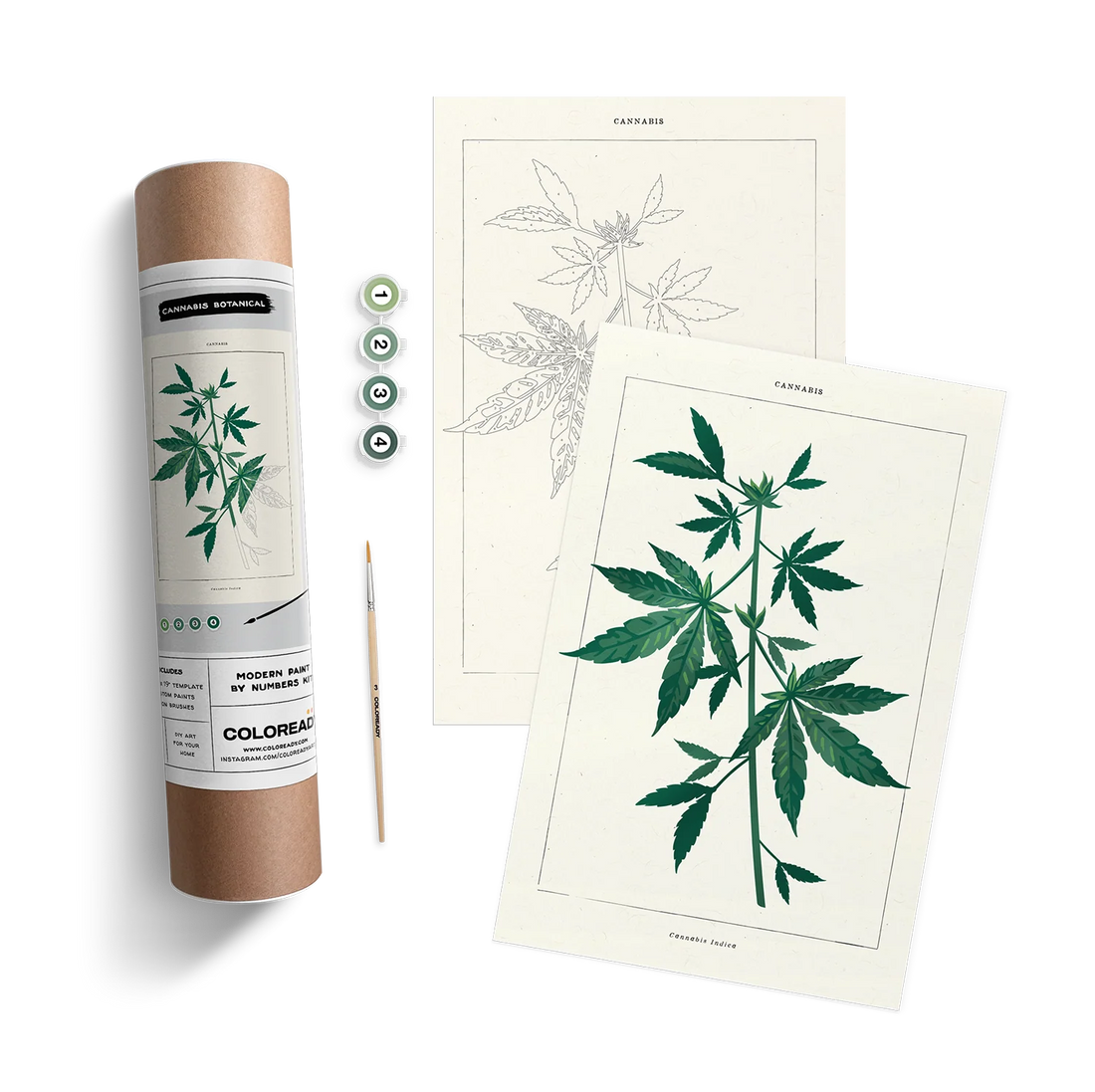 CANNABIS BOTANICAL KIT