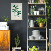 CANNABIS BOTANICAL KIT
