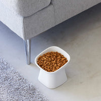 Tilted Pet Food Bowl