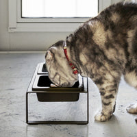 Pet Food Bowl - Tall - Steel + Ceramic