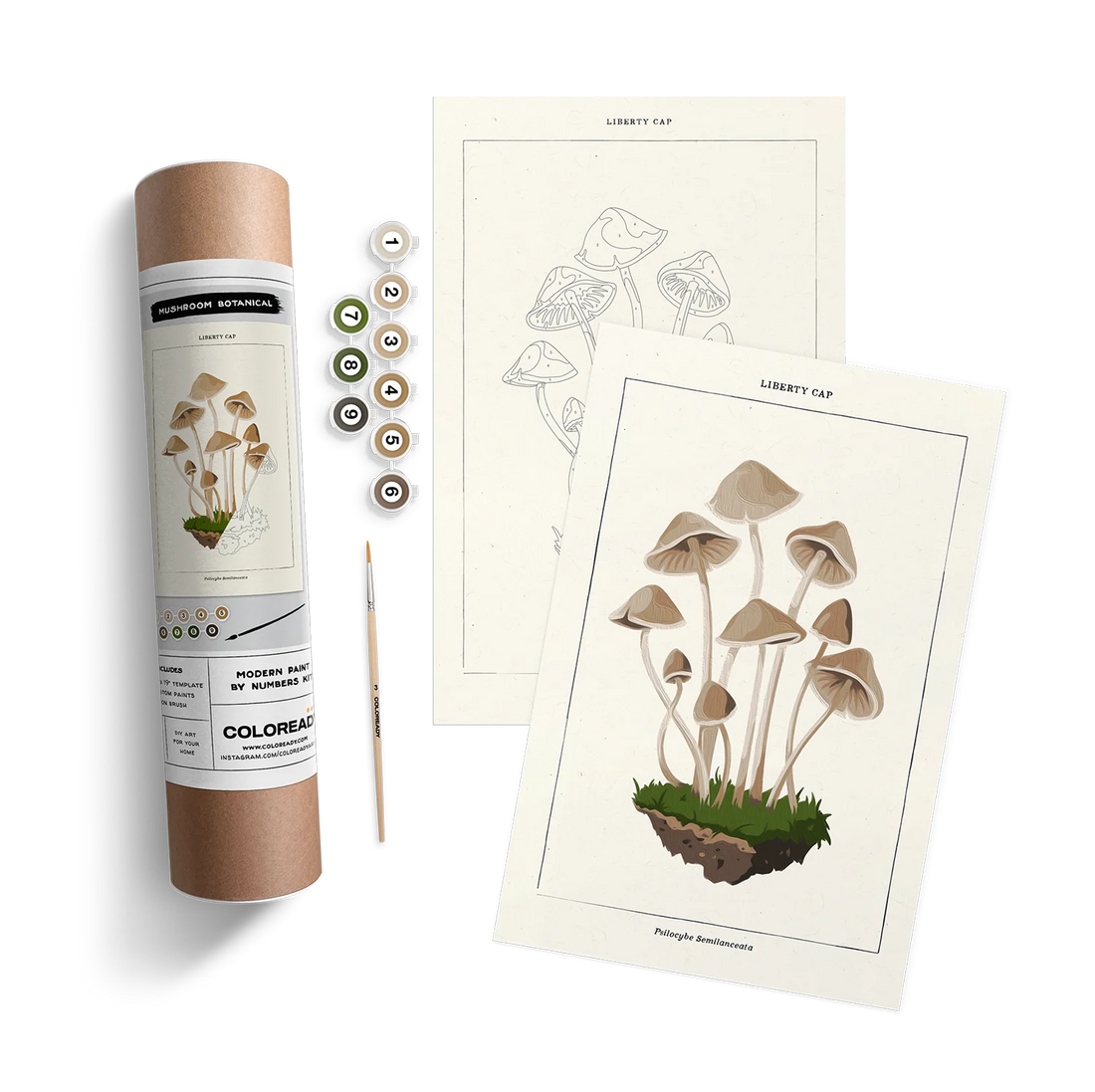 MUSHROOM BOTANICAL KIT