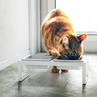Pet Food Bowl - Tall - Steel + Ceramic
