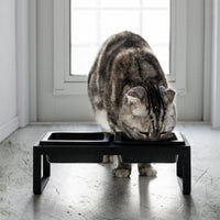 Pet Food Bowl - Tall - Steel + Ceramic