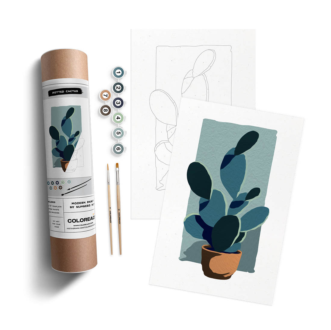 POTTED CACTUS KIT