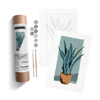 POTTED SNAKE PLANT KIT