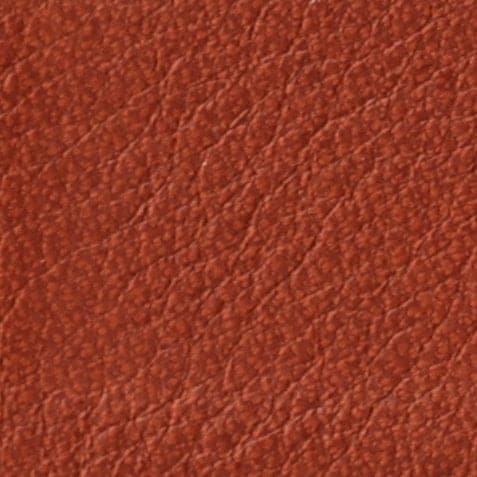 Rust Napa Full Grain Leather Swatch