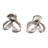 Banksia Pod Earrings - Silver