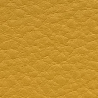 Yellow Napa Full Grain Leather Swatch