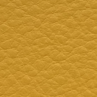 Yellow Napa Full Grain Leather Swatch