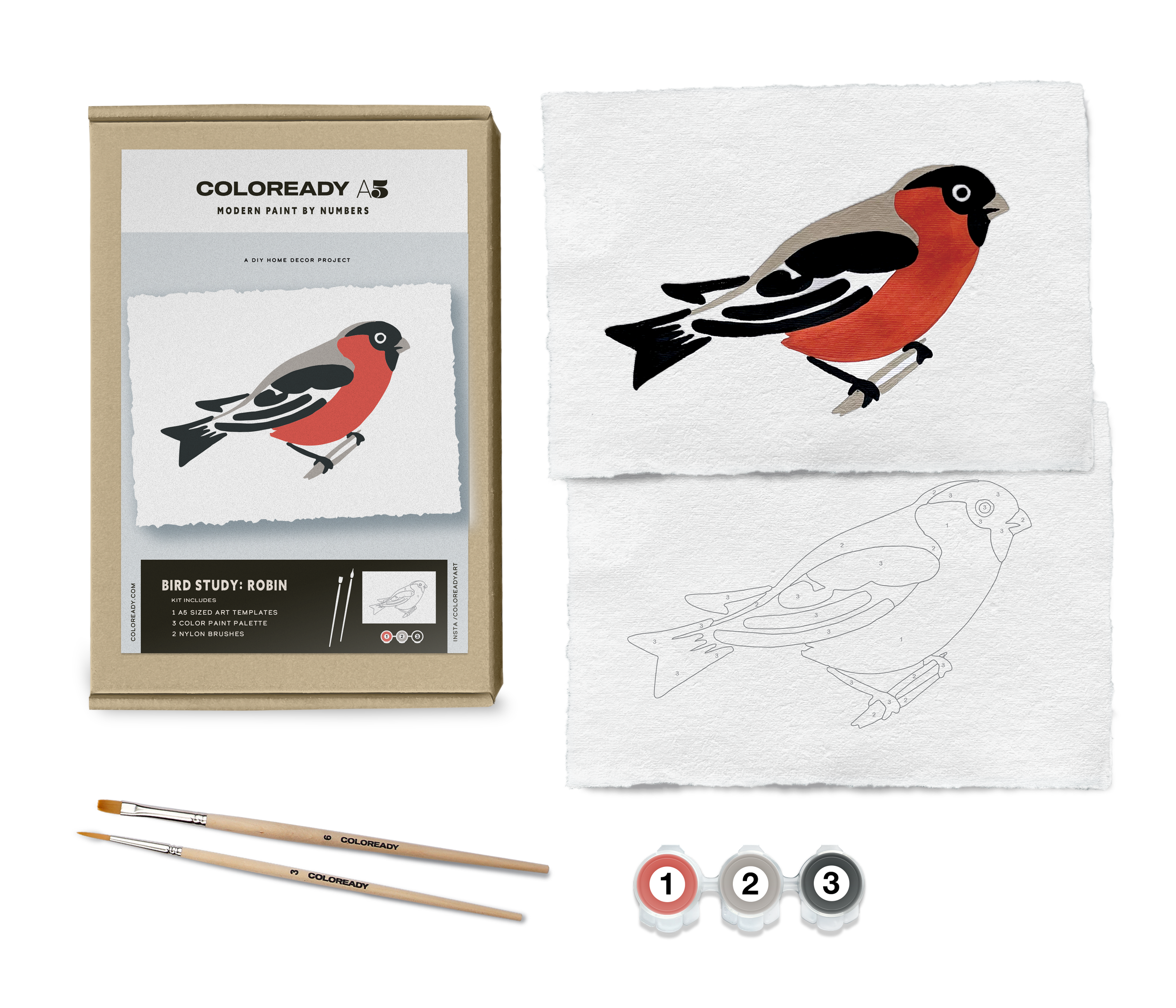 Robin Bird Study paint by numbers kit – FIELD + SUPPLY