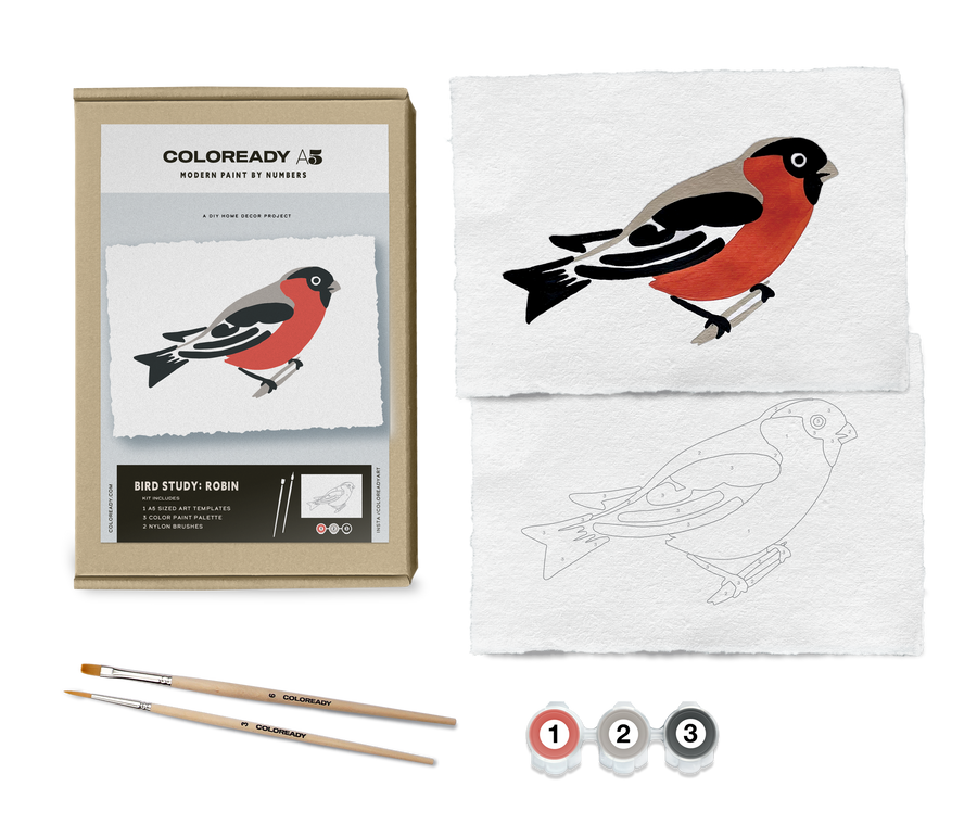 Bird Study - Robin