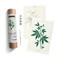 Cannabis Botanical Kit