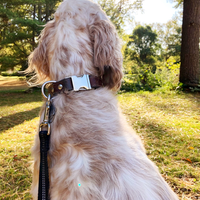 Ruby Leather Dog Collar