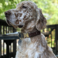 Ruby Leather Dog Collar