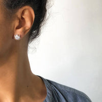 Star Pod Earrings - Silver
