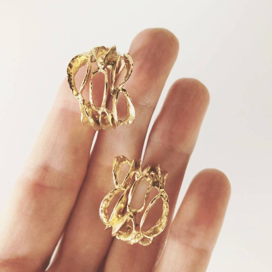 Banksia Hoop Earrings - Yellow Bronze
