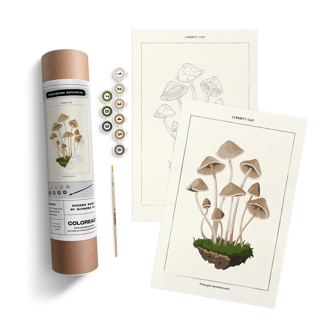 Mushroom Botanical Kit