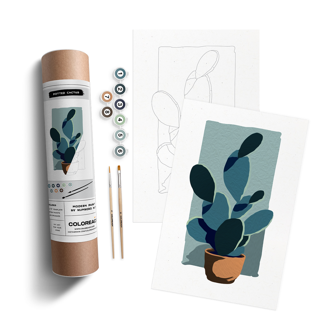 Potted Cactus Kit