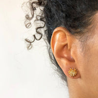 Star Pod Earrings - Yellow Bronze
